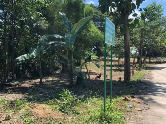 รูป ขายที่ดินติดถนนติดแม่น้ำปิงตำบลสบแม่ข่าหางดงพร้อมโอน - รูปที่ 2/5