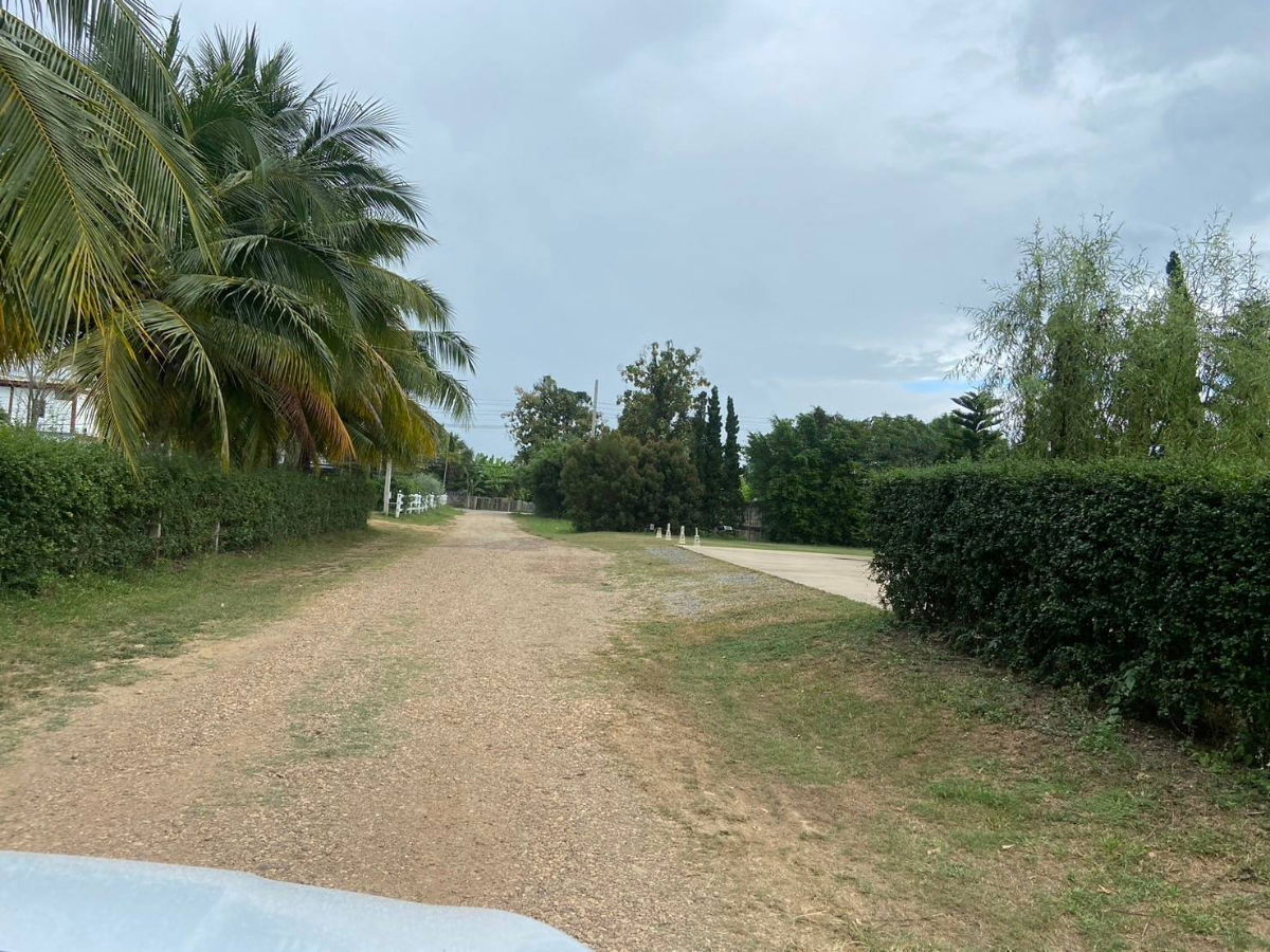 รูป ขายที่ดิน 3 ไร่ ทำเลสวยมาก วิวเห็นเขารอบด้าน 360 องศา ใกล้พระธาตุช่อแฮ ใกล้สนามบินแพร่ - รูปที่ 3/6