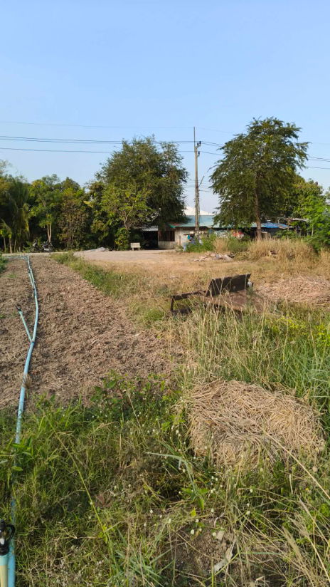 รูป Vacant land for sale (already filled/leveled), formerly rice paddy land (owner selling directly). - รูปที่ 4/6