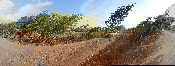 รูป ขายที่ดิน5ไร่ เหมาะทำบ้านสวน น้ำไฟเข้าถึง - รูปที่ 6/6