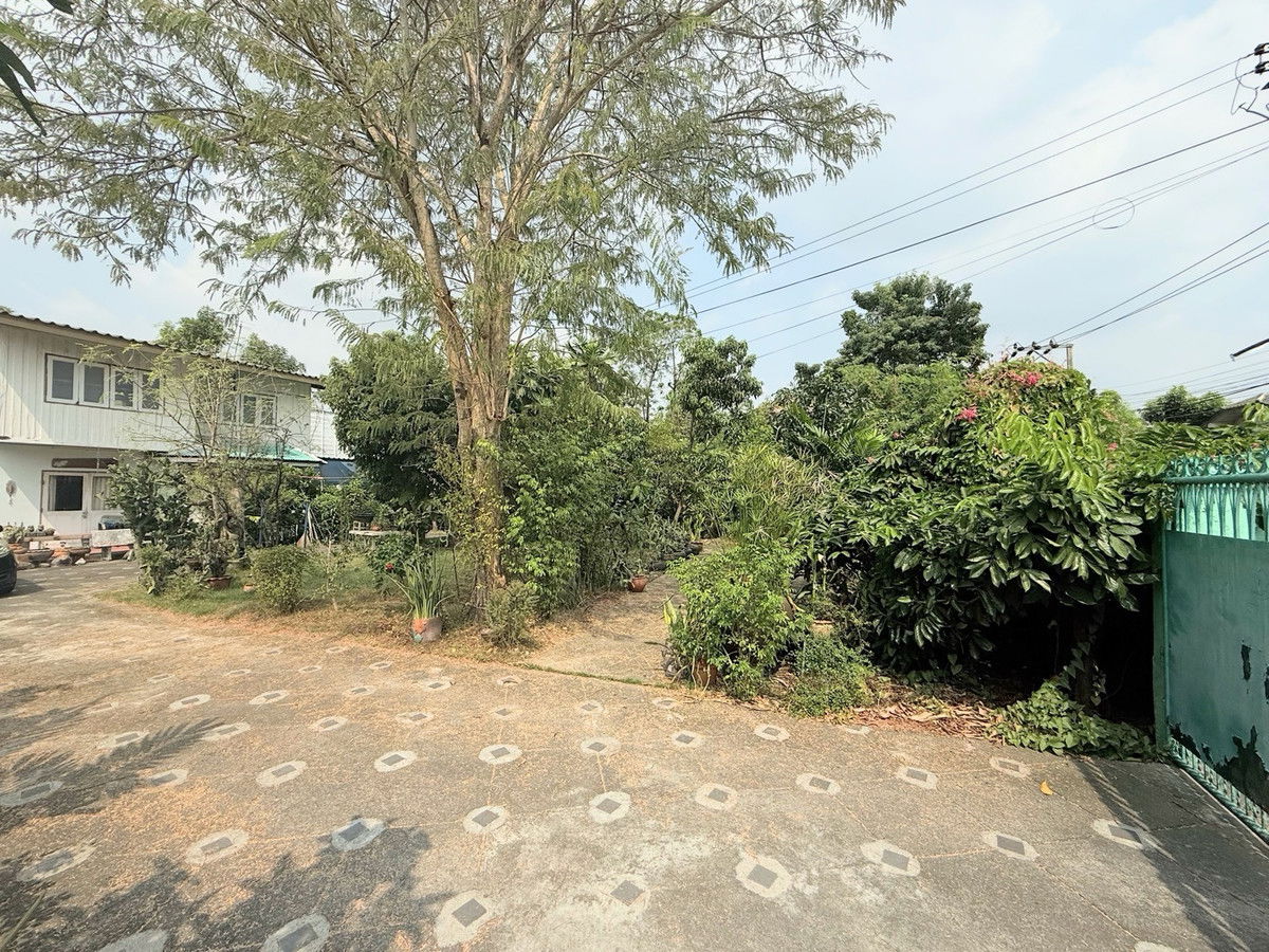 picture ðĨUrgent! Great Price!ðĨ Beautiful land plot for sale, Sukhumvit 107 (Soi Bearing 19) - 7/9