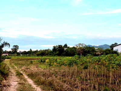 Land for sale Bang Lamung Chonburi : Beautiful plot of land for sale on the Khao Mai Kaeo - Takian Tia road, Bang Lamung, Chonburi.