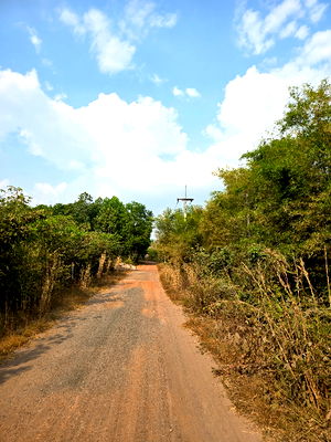 ที่ดิน ปราจีนบุรี : ขายที่ดิน5ไร่ เหมาะทำบ้านสวน น้ำไฟเข้าถึง