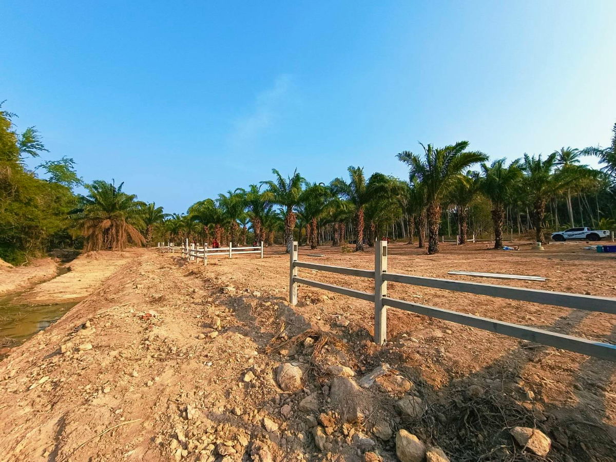 รูป ขายที่ดินทับสะแกแลนด์ 5-3-96 ไร่ ติดถนนสายเอเชีย ทำเลทอง ราคาสำหรับนักลงทุน เพชรเกษมขาล่องใต้ ประจวบคีรีขันธ์ - รูปที่ 10/11