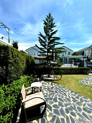 บ้านเดี่ยวให้เช่า : HR3187ให้เช่าบ้านเดี่ยว Villaggio 2 ศรีนครินทร์-บางนา บ้านสวยสไตล์ยุโรป บรรยากาศรีสอร์ท พร้อมพื้นที่สวนรอบบ้าน