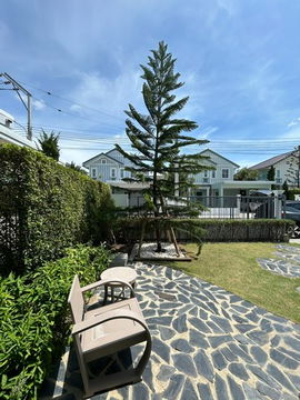 HR3187ให้เช่าบ้านเดี่ยว Villaggio 2 ศรีนครินทร์-บางนา บ้านสวยสไตล์ยุโรป บรรยากาศรีสอร์ท พร้อมพื้นที่สวนรอบบ้าน