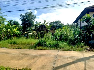 ที่ดิน เขตหนองจอก : ขายที่ดินไม่มีสิ่งปลูกสร้างที่เคยถมดินแล้วครั้งนึงในเขตหนองจอก ซอยเลียบวาลี 13 ขนาด 99 ตรว. โฉนดครุฑแดง 