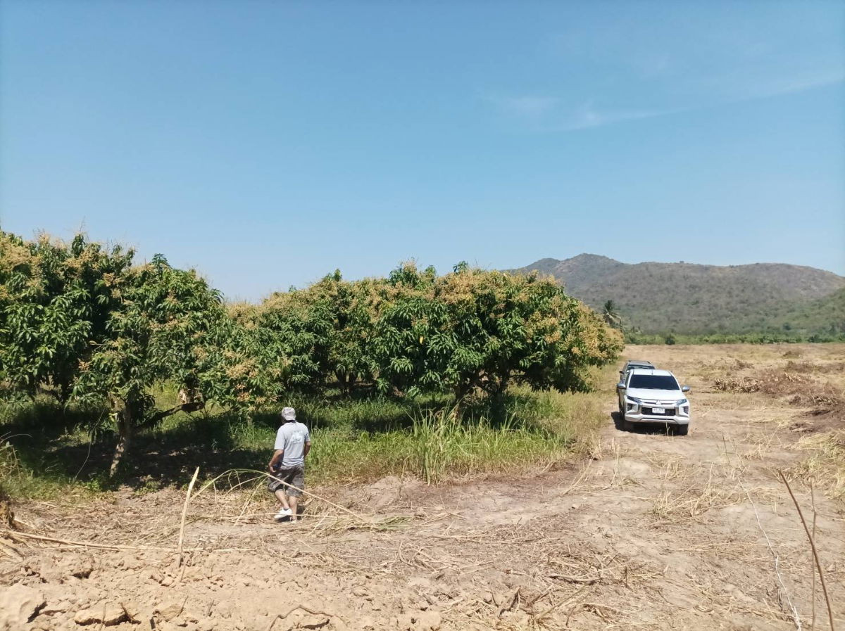 picture Beautiful Mountain View Land for Sale in Pranburi | 21,188 Sq.m. Plot in Nong Ta Taem - U5715290 - 12/20