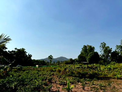 Land for sale Si Racha Chonburi : Beautiful land for sale in Sriracha, Na Phrao - Soi Ban Lung Thum, close to community amenities.