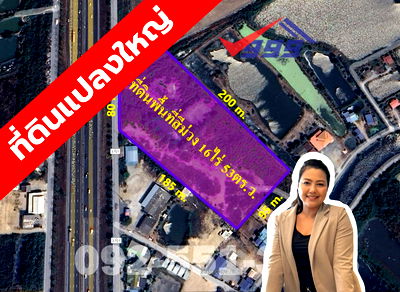 Land for sale Phan Thong Chonburi : Land for sale in industrial area 25,812 sq.m. Phan Thong Chonburi
