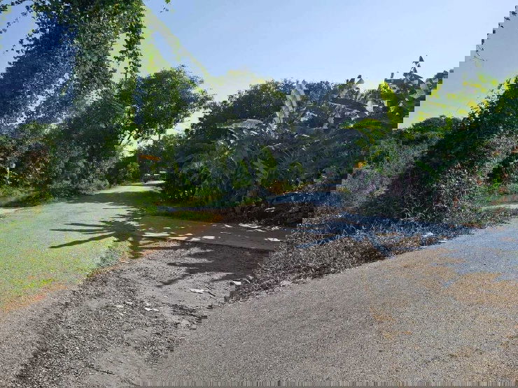 รูป ที่ดินเปล่า 200 ตารางวาบิวทุ่งนากว้างๆ ถนนราษฎร์อุทิศ 56 หนองจอก  วิวสวยบรรยากาศดีเหมาะสำหรับปลูกบ้าน - รูปที่ 10/10