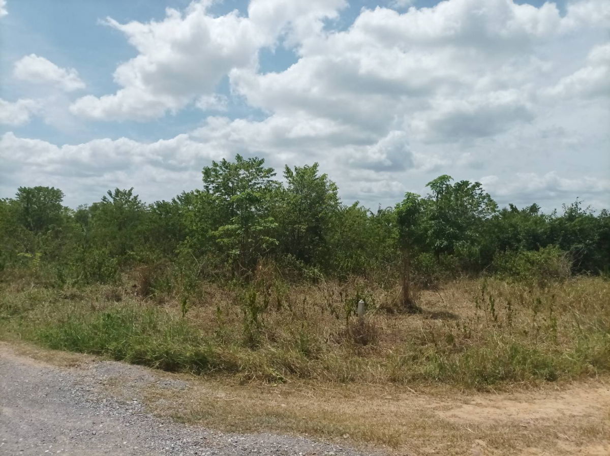 picture Beautiful Mountain View Land for Sale in Pranburi | 21,188 Sq.m. Plot in Nong Ta Taem - U5715290 - 13/20