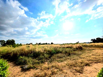 Land for sale Bang Lamung Chonburi : Beautiful land for sale near Krathing Lai Beach, Rong Po, Takian Tia, Bang Lamung, Chonburi.