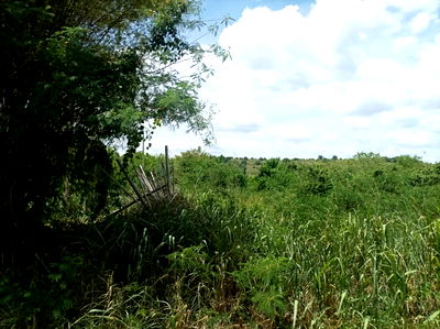 Land for sale Pran Buri Prachaubkirikhan : Beautiful Mountain View Land for Sale in Pranburi | 21,188 Sq.m. Plot in Nong Ta Taem - U5715290