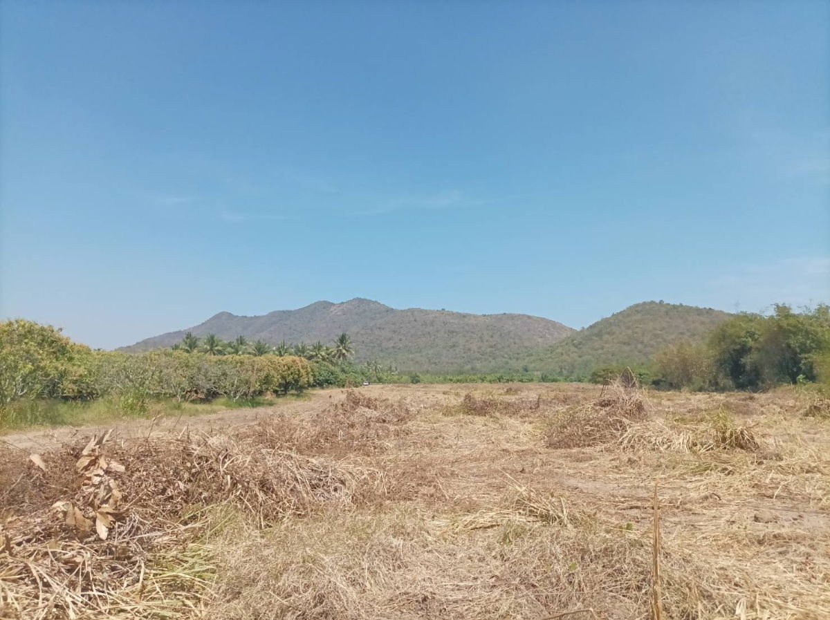 picture Beautiful Mountain View Land for Sale in Pranburi | 21,188 Sq.m. Plot in Nong Ta Taem - U5715290 - 4/20