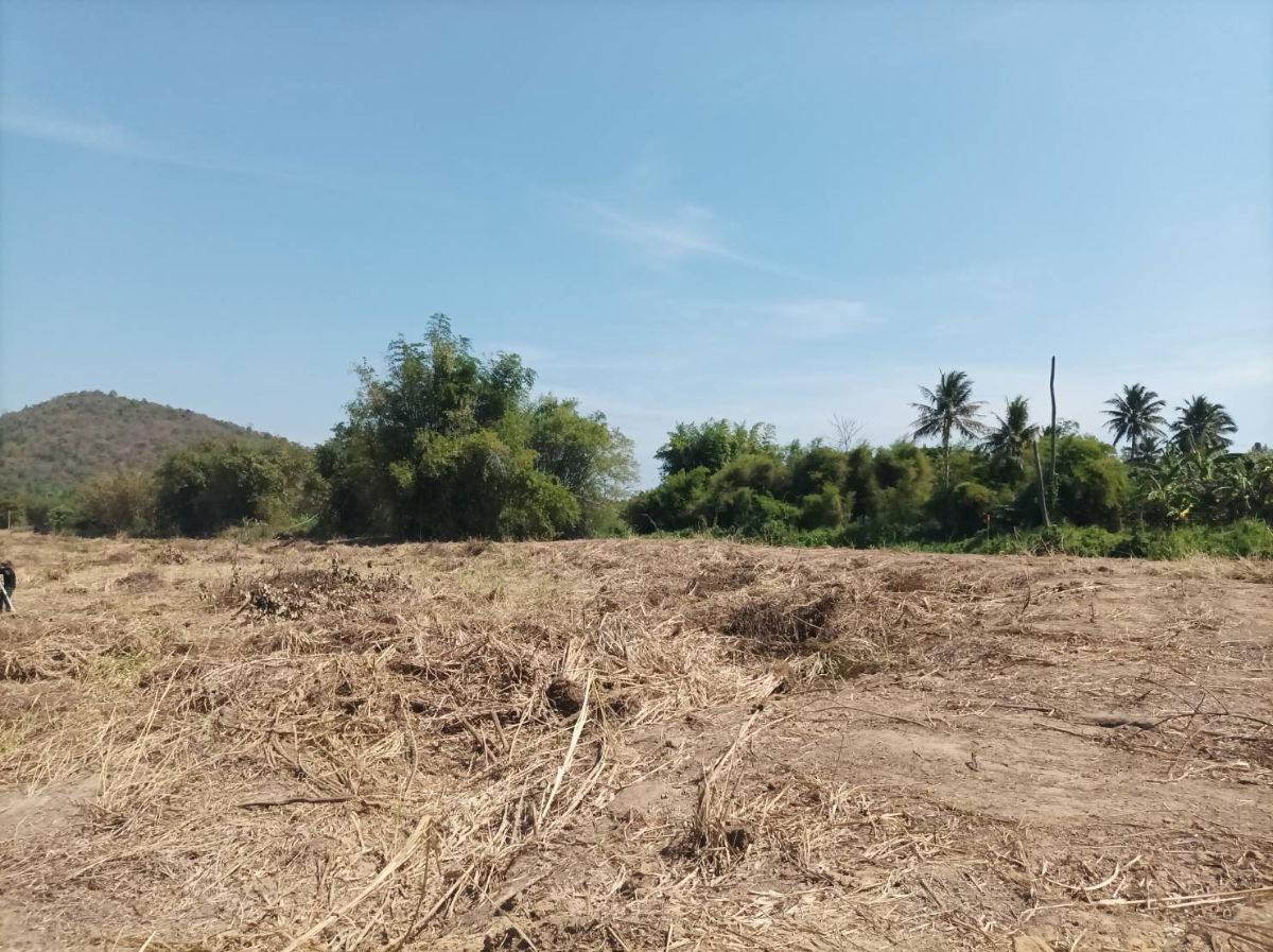 picture Beautiful Mountain View Land for Sale in Pranburi | 21,188 Sq.m. Plot in Nong Ta Taem - U5715290 - 8/20