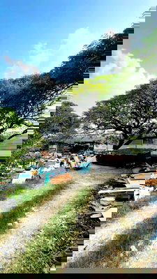 ที่ดิน ม.เกษมบัณฑิต พัฒนาการ : ขายที่ดินอ่อนนุช 46 ที่ถมเเเล้ว ทำเลดี