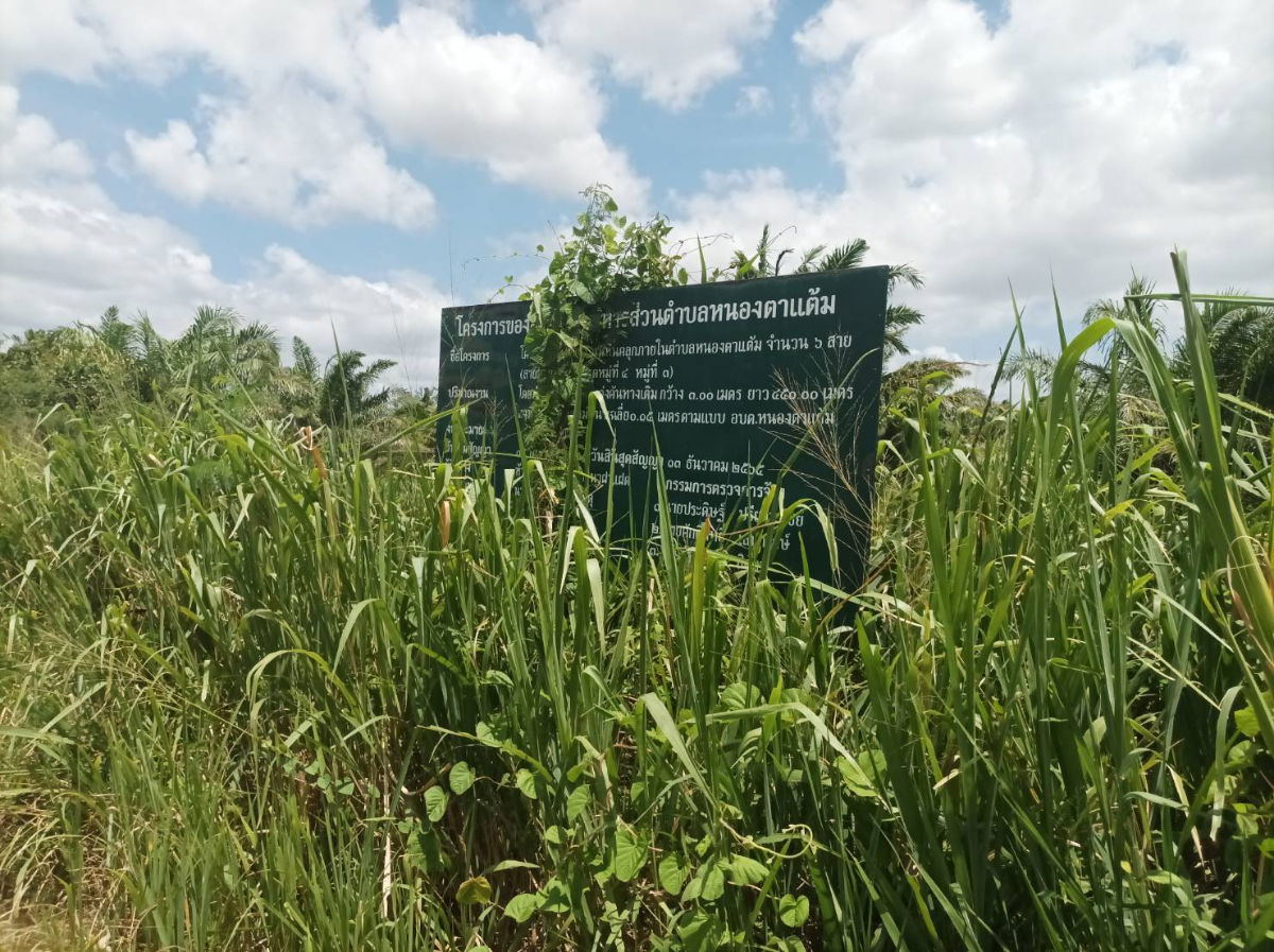 picture Beautiful Mountain View Land for Sale in Pranburi | 21,188 Sq.m. Plot in Nong Ta Taem - U5715290 - 14/20