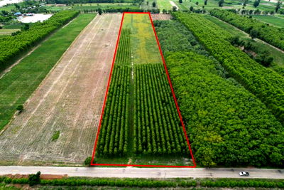 ที่ดิน กำแพงเพชร : ขายที่ดินสวยราคาถูก ในตำบลไตรตรึงษ์ อำเภอเมืองกำแพงเพชร ติดถนนสองด้าน ติดทางสาธารณะ