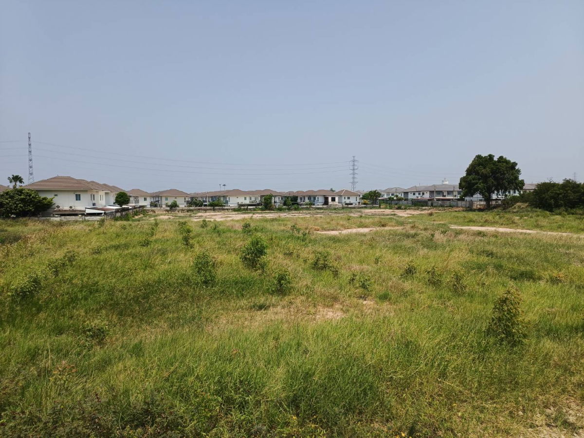 picture ðŊUrgent!!! Land for sale for building a village, Sell it yourself, negotiable priceðŊ - 16/17