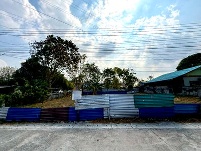 Land for sale Si Racha Chonburi : Land for sale in Soi Bo Kok, Sriracha. Beautiful plot, good location, near a community.