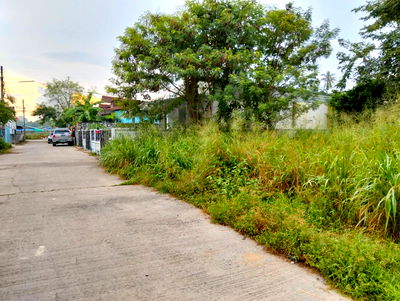 ที่ดิน บางละมุง ชลบุรี : ที่ดิน 113 ตรว.ตะเคียนเตี้ย หลัง Big C ใกล้ถนน 4094 แค่ 100 เมตร