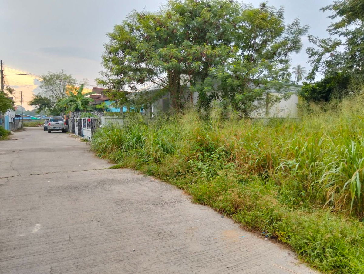 รูป ที่ดิน 113 ตรว.ตะเคียนเตี้ย หลัง Big C ใกล้ถนน 4094 แค่ 100 เมตร - รูปที่ 1/4