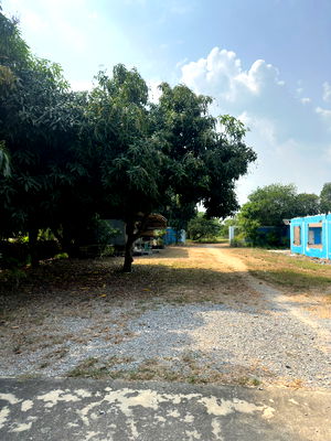 ที่ดิน คลองหลวง ปทุมธานี : ขายที่ดิน 9 ไร่ 3 งาน อ.คลองหลวง จ.ปทุมธานี ทำเลทอง บรรยากาศดี ใกล้ถนนคลองหลวง