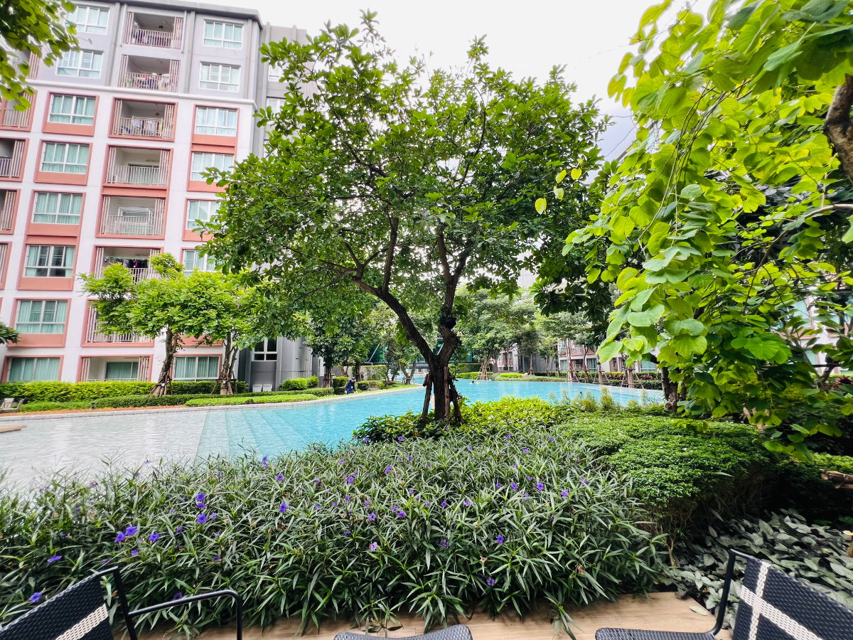 picture ✅ Condo for rent, D Condo Pink, 4th floor, Building B, 30 sq m, mountain view, 10,000 THB/month ☎️ 064-792-4426 (Ben) - 13/15