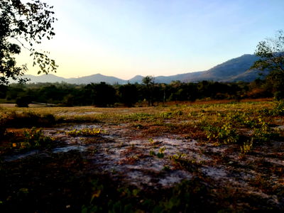 Land for sale ม.ศิลปากรวิทยาเขตสารสนเทศเพชรบุรี : 4-1-26 Rai | Mountain View Land Plot!  Ideal Land For Luxury Home Development