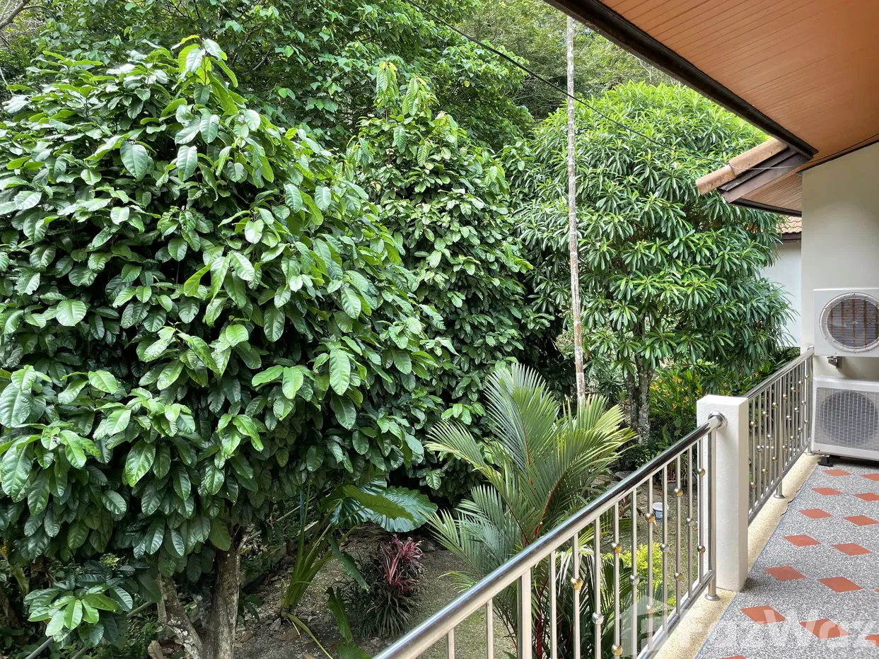 รูป บ้านเดี่ยวให้เช่า 1 ห้องนอน ใน กมลา, ภูเก็ต 1731948 - รูปที่ 6/21