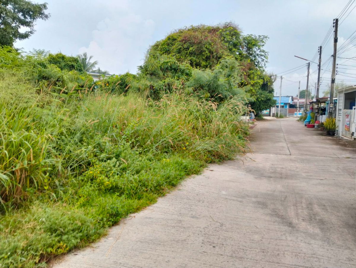 รูป ที่ดิน 113 ตรว.ตะเคียนเตี้ย หลัง Big C ใกล้ถนน 4094 แค่ 100 เมตร - รูปที่ 2/4