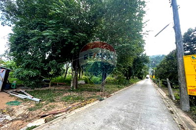 ที่ดิน เกาะสมุย สุราษฎร์ธานี : [920121079-31] ขายที่ดินห่างจากหาดบางปอเพียง 750 ม., เกาะสมุย