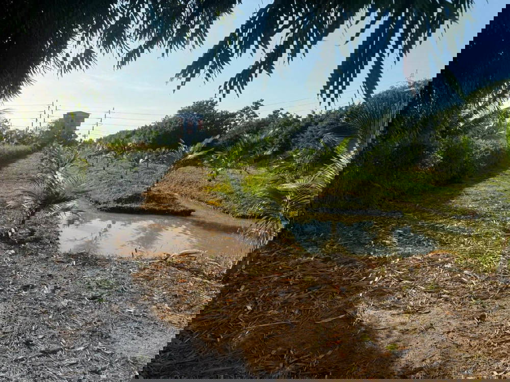 รูป Call : 096-090-7999 ขายที่ดิน 291.5 ตารางวา ด้านหน้าติดถนนสุคนธวิท ด้านหลังติดแม่น้ำ ตำบลตลาดกระทุ่มแบน อำเภอกระทุ่มแบน สมุทรสาคร - รูปที่ 4/13