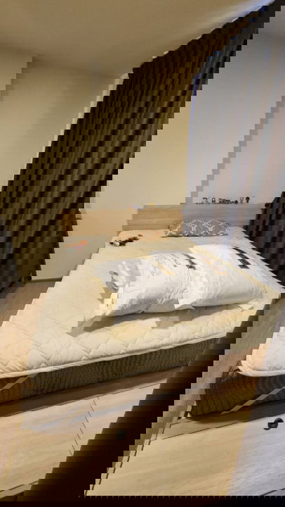 picture For Rent: The Muve Bangna Condo, 6th Floor, 25 sq m, fully-furnished. - 1/8