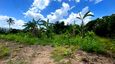 Land for sale : For sale: 7 rai of land in Pak Chong-Khao Yai area (subdividable), Nong Nam Daeng subdistrict.