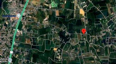 ที่ดิน เมืองนครปฐม นครปฐม : ขายที่ดิน นครปฐม ติดถนนคอนกรีต2ด้าน