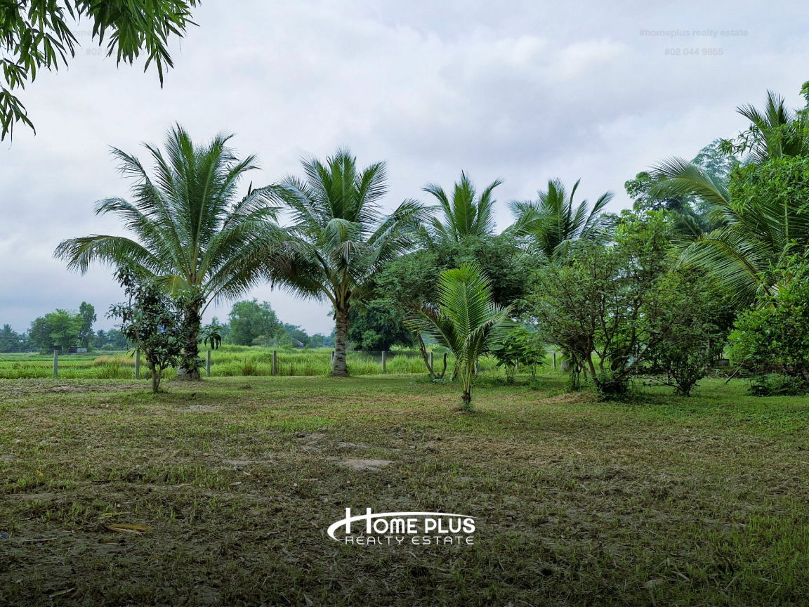 รูป บ้านเดี่ยวชั้นเดียวพร้อมที่ดินขนาดใหญ่ กุดจับ อุดรธานี - รูปที่ 4/20