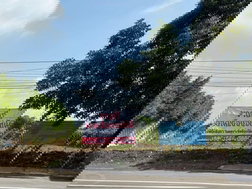 รูป Call : 096-090-7999 ขายที่ดิน 291.5 ตารางวา ด้านหน้าติดถนนสุคนธวิท ด้านหลังติดแม่น้ำ ตำบลตลาดกระทุ่มแบน อำเภอกระทุ่มแบน สมุทรสาคร - รูปที่ 1/13