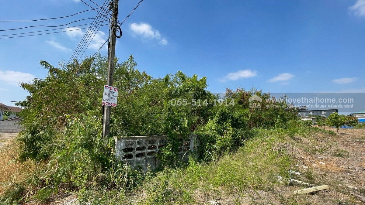 รูป ขายที่ดิน ถนนกำแพงเพชร6 ตำบลหลักหก ปทุมธานี ที่ดินสวย ทำเลดี ใกล้สถานีรถไฟหลักหก (ม.รังสิต) เพียง 350 เมตร เนื้อที่ 185.6 ตร.ว. หน้ากว้าง 23 x 32 เมตร - รูปที่ 9/18