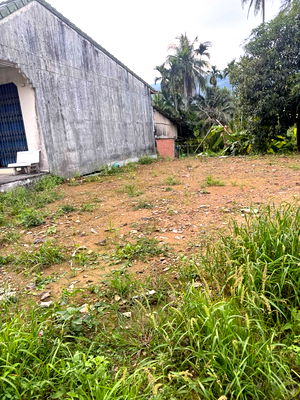 ที่ดิน นครศรีธรรมราช : ขายที่ร่อนพิบลย์ แถวโคกยาง 14ตรว