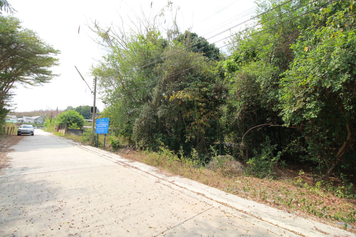 รูป ขายที่ดิน 355 ตร.วา ราคานักลงทุน ใกล้นิคมฯ และถนน 36 มาบข่า นิคมพัฒนา ระยอง - รูปที่ 6/15