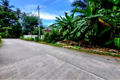 Land for sale Ko Samui Surat Thani : [920121079-29] Land With Fruits Farm At Taling Ngam For Sale , Koh Samui