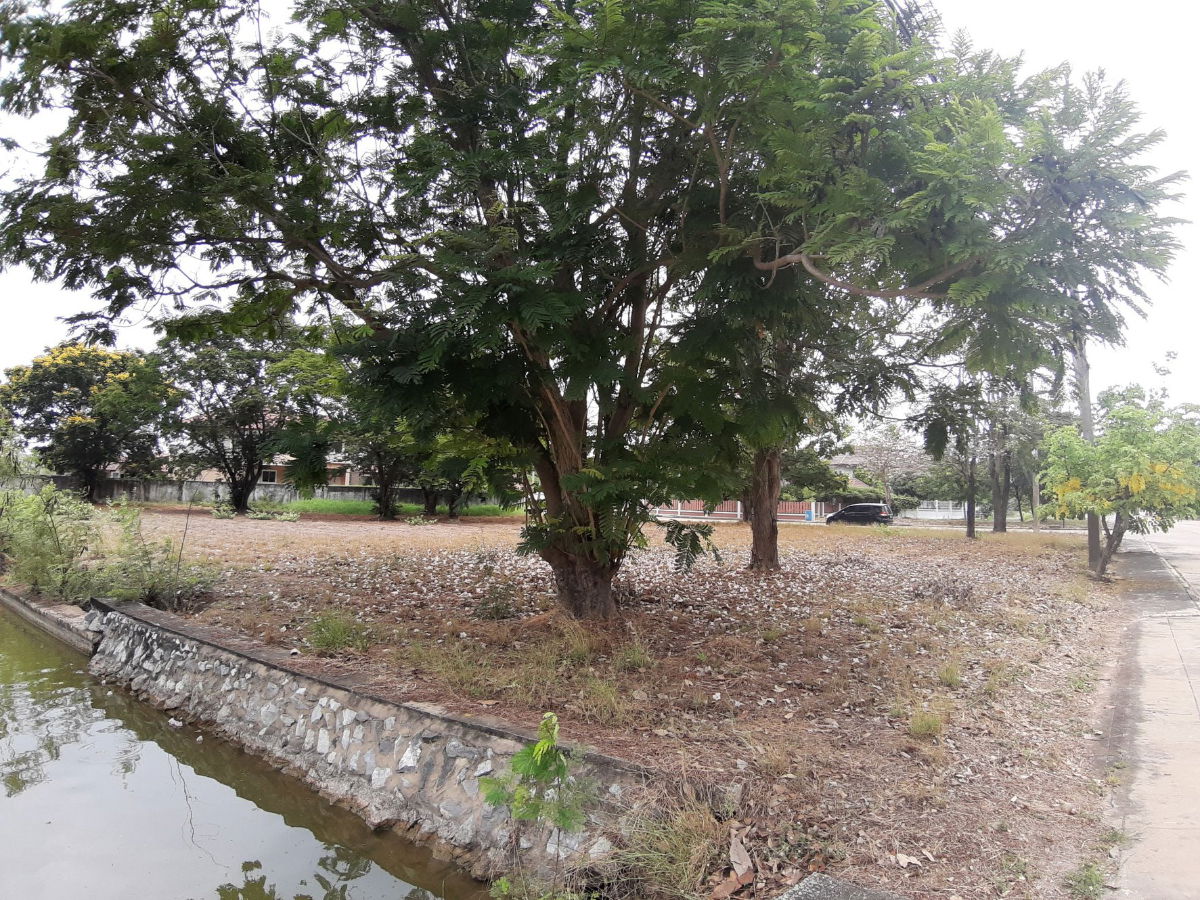 รูป ⛳ขายที่ดินเปล่าเหมาะสำหรับปลูกสร้างบ้าน ในโครงการหมู่บ้านเดอะลากูน1 อำเภอสามโคก จังหวัดปทุมธานี ติดละเลสาป ⛳ - รูปที่ 12/16