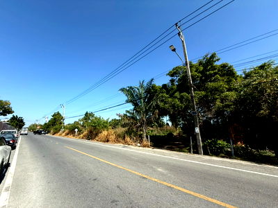 ที่ดิน ม.อัสสัมชัญ บางนา : ที่ดินสวย บางนา กม.24 บางเสาธง