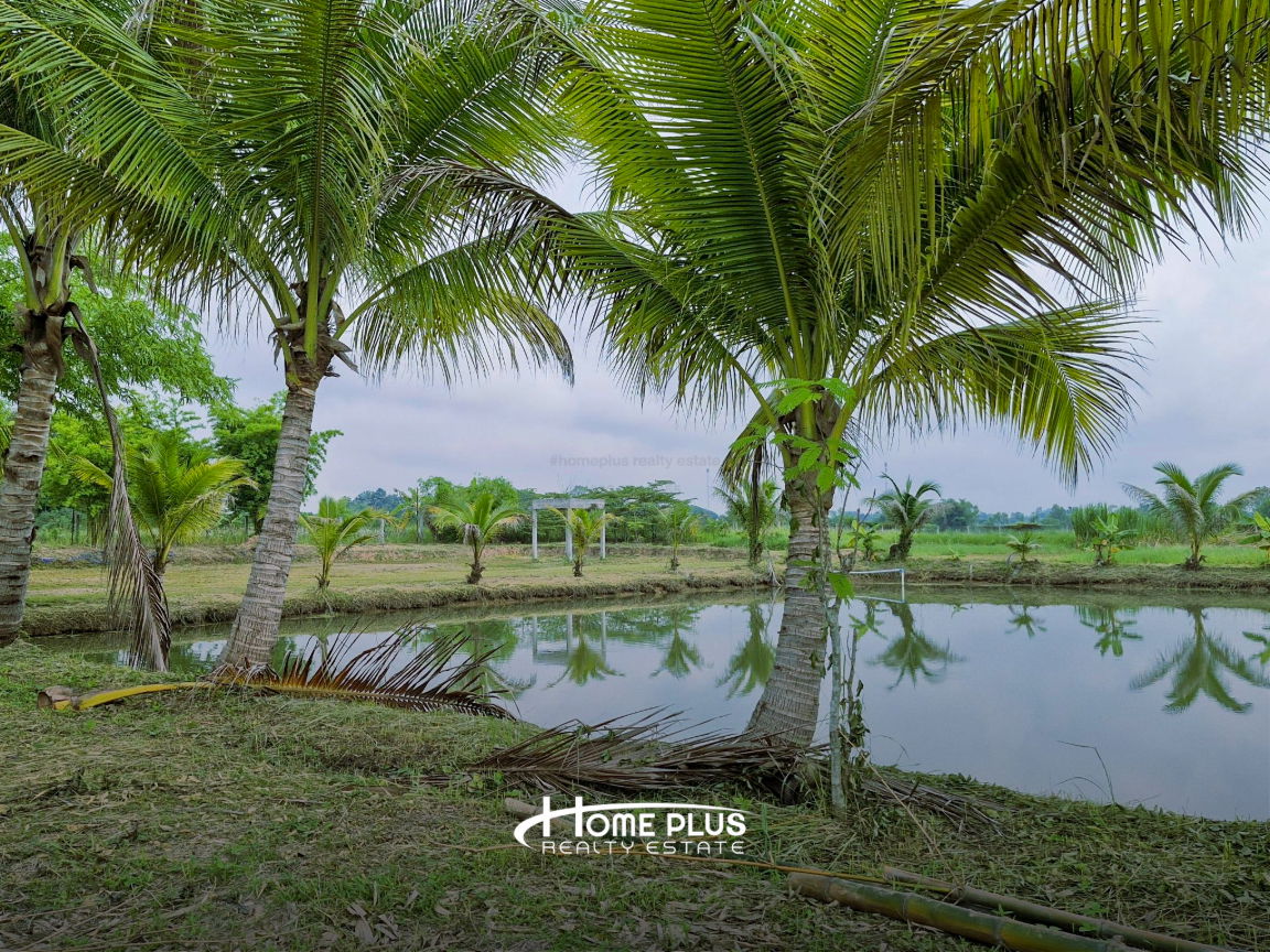 รูป บ้านเดี่ยวชั้นเดียวพร้อมที่ดินขนาดใหญ่ กุดจับ อุดรธานี - รูปที่ 5/20