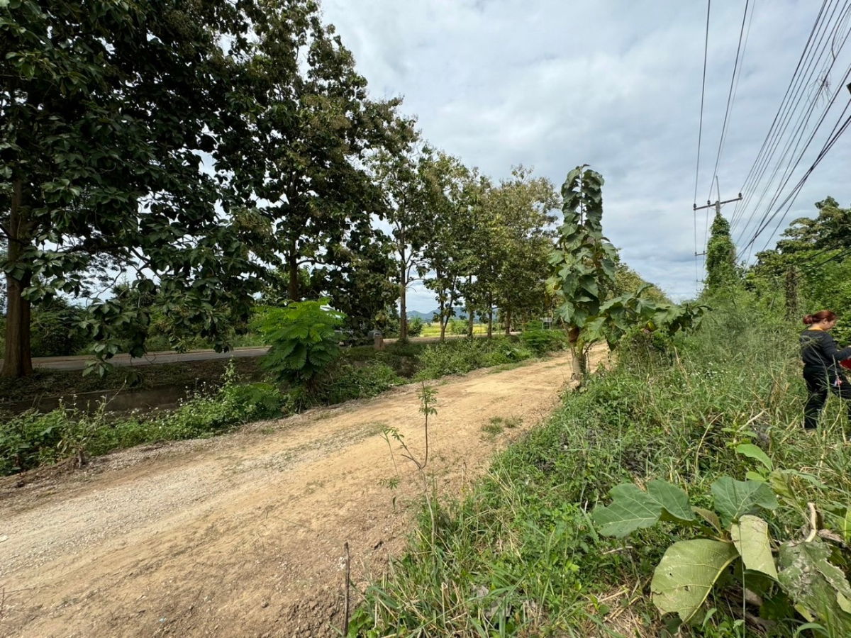 รูป ขายที่ดิน อำเภอดอยสะเก็ด เชียงใหม่ - รูปที่ 2/7