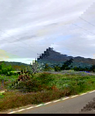 ขายที่ดิน : 🔥ขายที่ดิน บ้านหนองแว่น ต.หนองหลวง อ. สว่างอารมณ์  จ. อุทัยธานี🔥  นส.4  วิวเขาใกล้ แหล่งท่องเที่ยว น้ำตก ไฟฟ้า ครบ  ขนาด 109.5 ตรว. ขายราคา 399,000✅