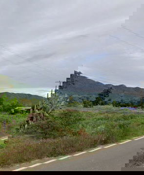 🔥ขายที่ดิน บ้านหนองแว่น ต.หนองหลวง อ. สว่างอารมณ์  จ. อุทัยธานี🔥  นส.4  วิวเขาใกล้ แหล่งท่องเที่ยว น้ำตก ไฟฟ้า ครบ  ขนาด 109.5 ตรว. ขายราคา 399,000✅