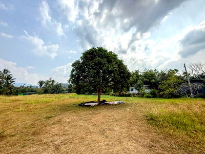 ที่ดิน ศรีราชา ชลบุรี : ขายที่ดินบ้านโค้งดารา ศรีราชา แปลงสวย ทำเลดี ติดลำธารธรรมชาติ